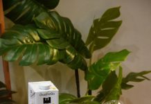 “โอ๊ตไซด์” จับมือพันธมิตรร้านกาแฟกว่า 500 แห่งทั่วประเทศ เพิ่มโอกาสเข้าถึงนมโอ๊ตคุณภาพสำหรับทุกคน แบบไม่ต้องจ่ายเพิ่ม